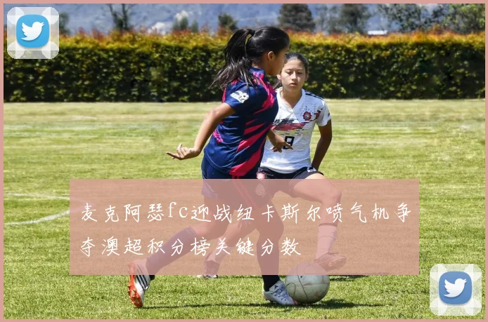 麦克阿瑟fc迎战纽卡斯尔喷气机争夺澳超积分榜关键分数