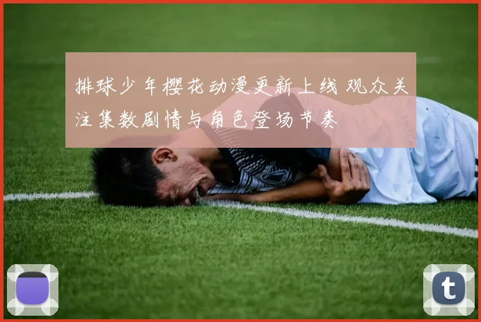 排球少年樱花动漫更新上线 观众关注集数剧情与角色登场节奏