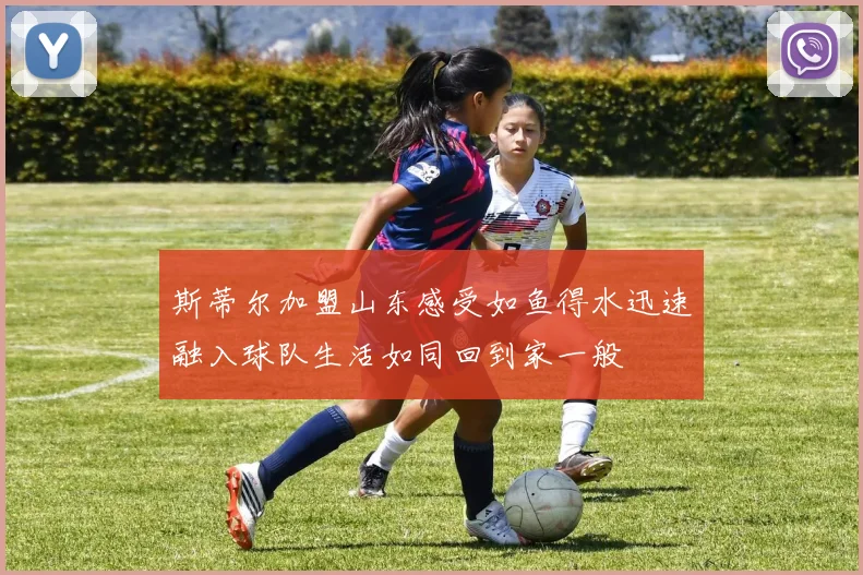 斯蒂尔加盟山东感受如鱼得水迅速融入球队生活如同回到家一般