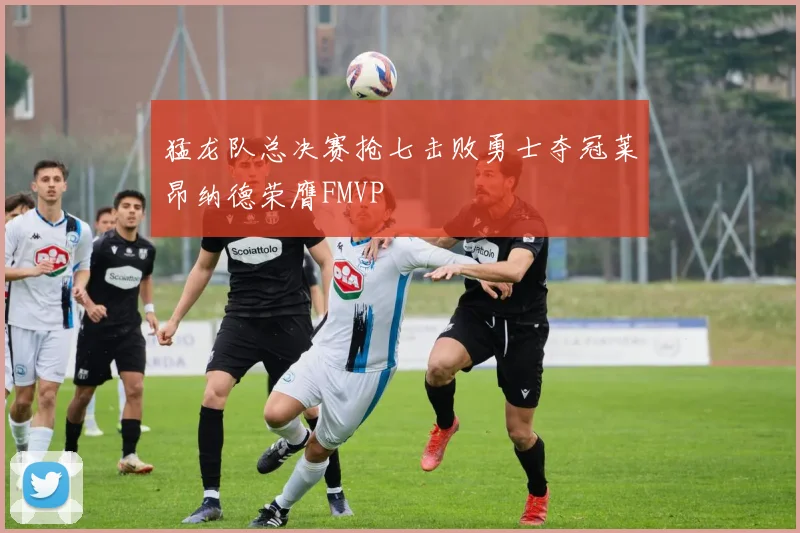 猛龙队总决赛抢七击败勇士夺冠莱昂纳德荣膺FMVP
